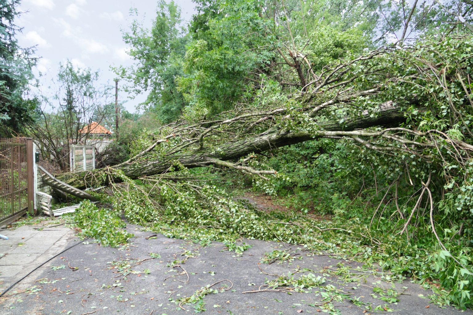 Дерево упало на деревенский дом